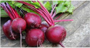 প্রাকৃতিক বিটরুট.jpg